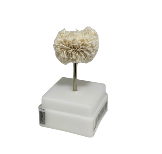 Mopa de Pulido pequeña para Drill